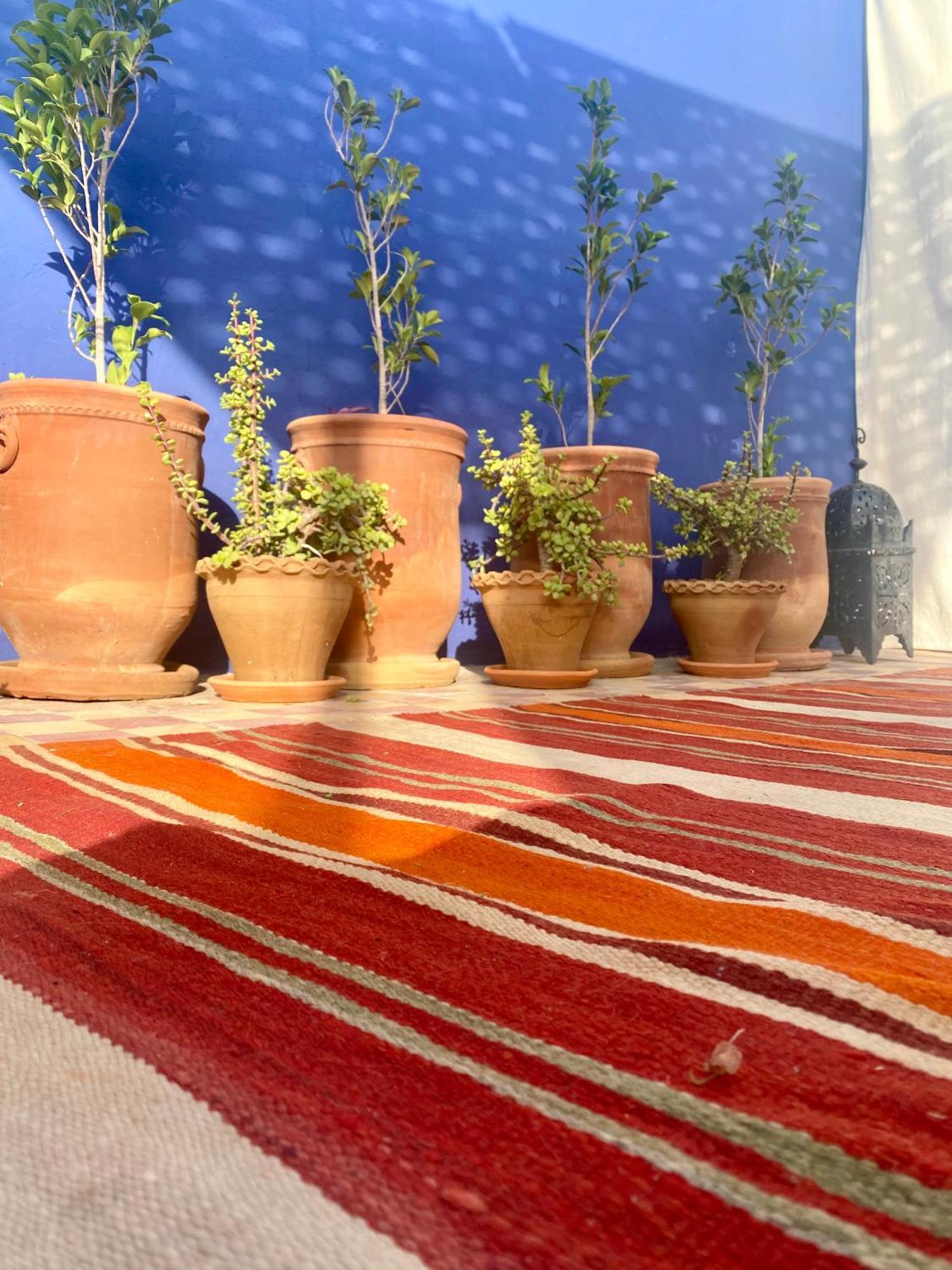 Riad La Perle De Bacha 马拉喀什 外观 照片